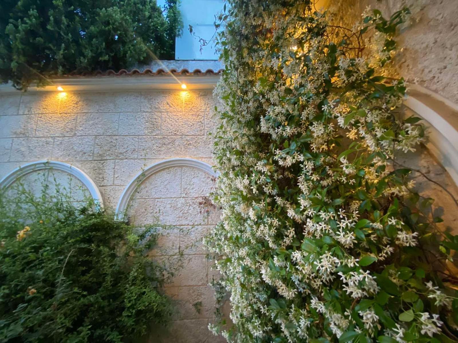 Filidas Apartments Skiathos Exterior photo